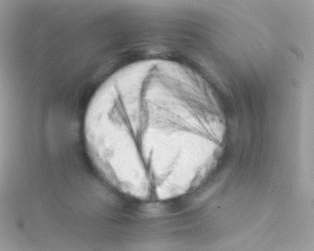 X0000115060269200911231221