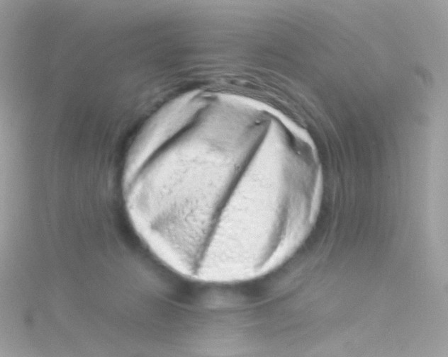 X0000115060270200911231221