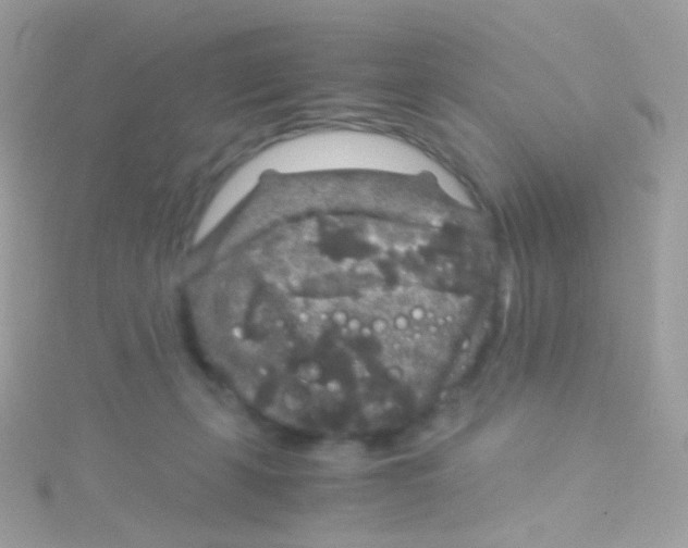 X0000115060271200911231221