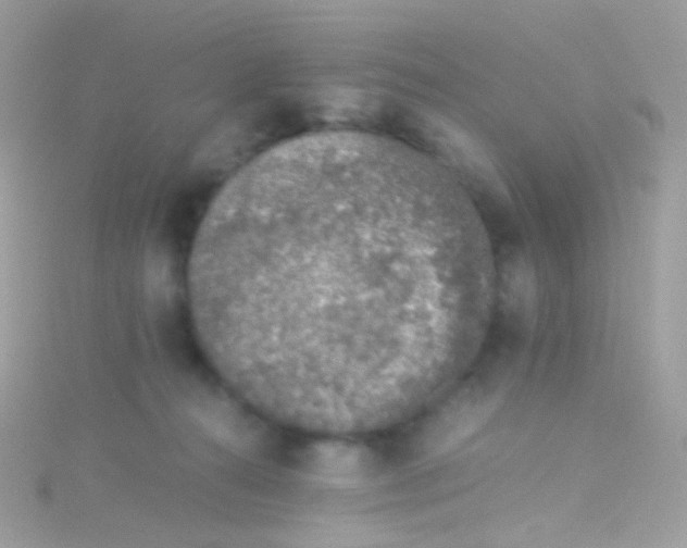 X0000115060272200911231221