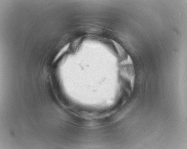 X0000115060273200911231221