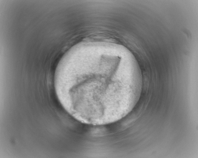 X0000115060274200911231221