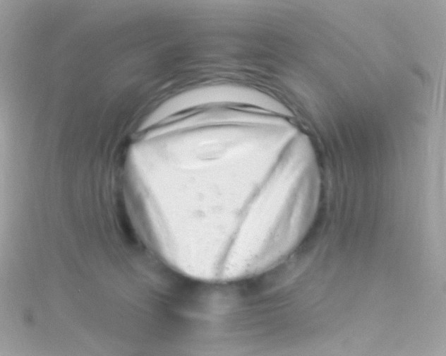 X0000115060275200911231221