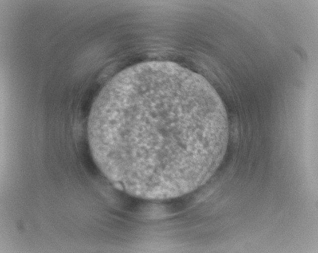 X0000115060276200911231221