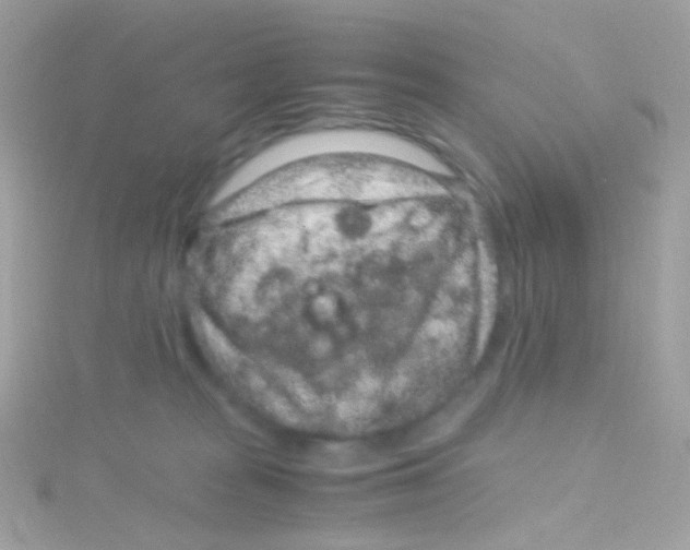 X0000115060277200911231221