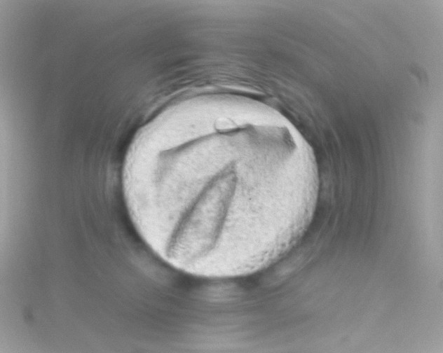 X0000115060278200911231221