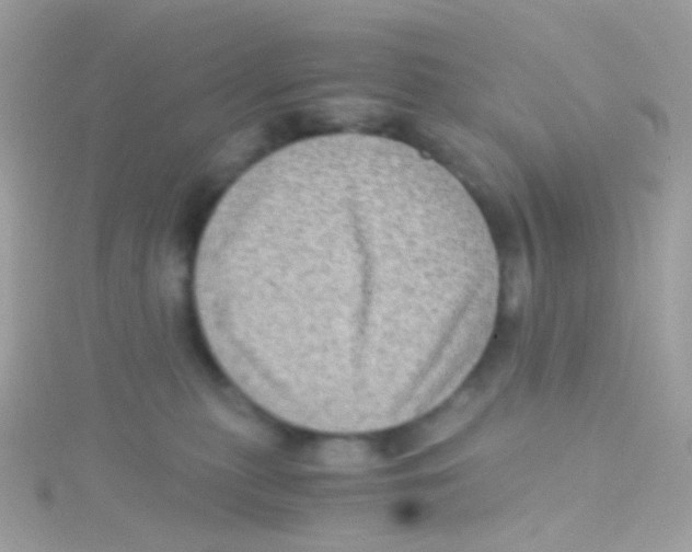 X0000115060279200911231221