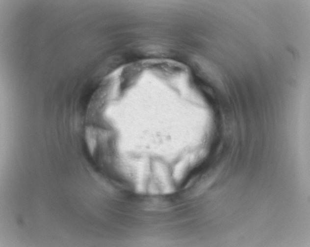 X0000115060281200911231221