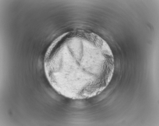 X0000115060282200911231221