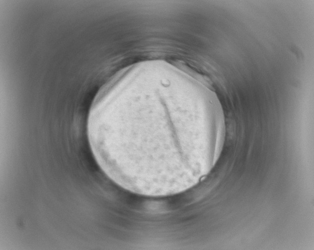 X0000115060283200911231221