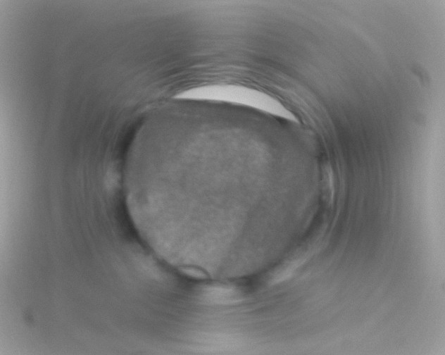 X0000115060284200911231221