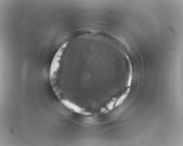 X0000115060285200911231221