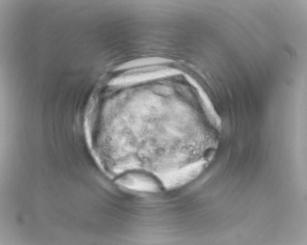 X0000115060286200911231221