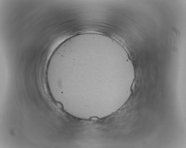 X0000115060289200911231221