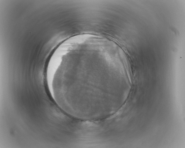 X0000115060290200911231221