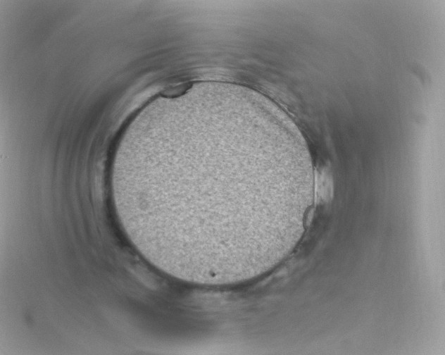 X0000115060291200911231221