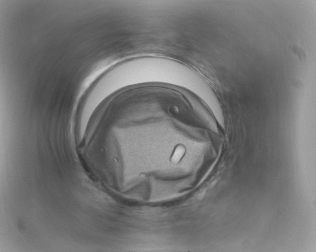 X0000115060292200911231221