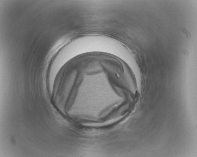 X0000115060293200911231221