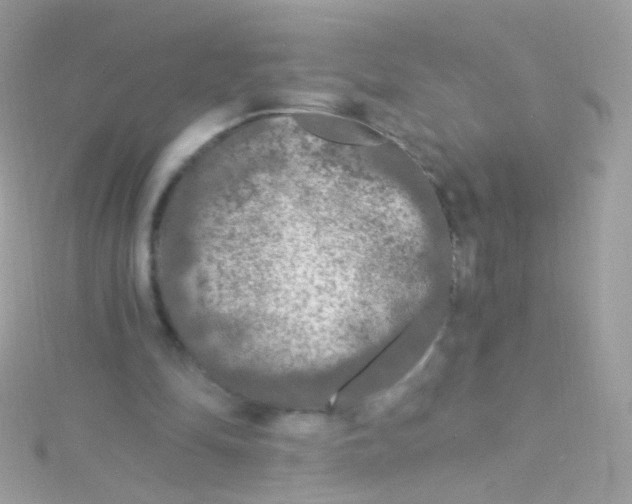 X0000115060294200911231221