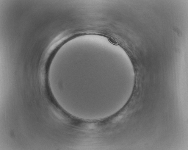 X0000115060295200911231221