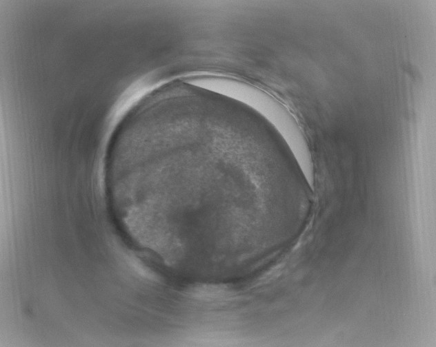 X0000115060296200911231221