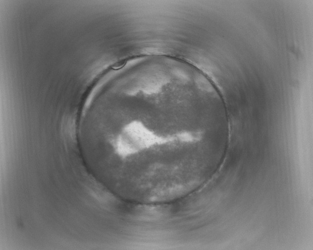 X0000115060297200911231221