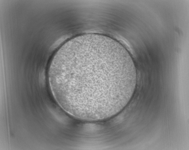 X0000115060298200911231221