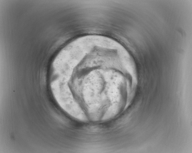 X0000115060299200911231221