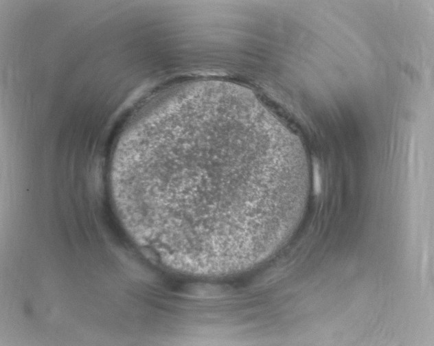 X0000115060300200911231221