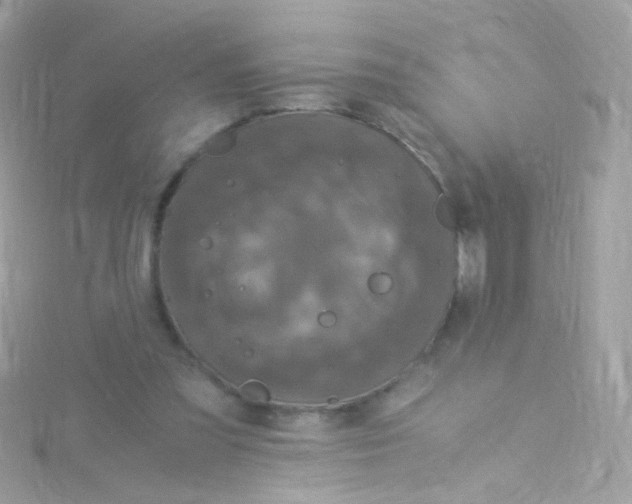 X0000115060301200911231221