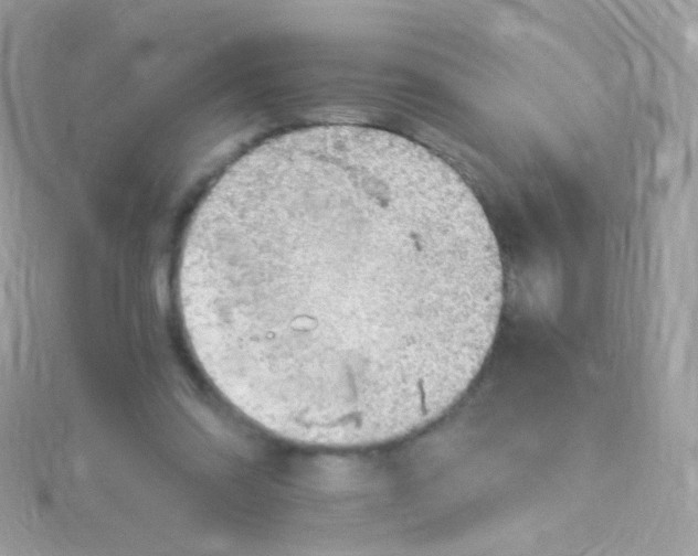 X0000115060302200911231221