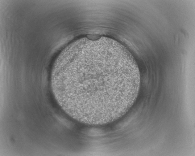 X0000115060303200911231221