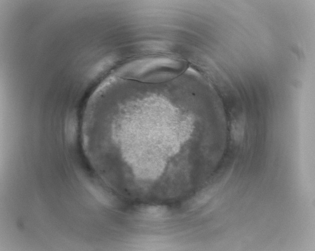 X0000115060304200911231221