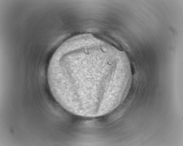 X0000115060306200911231220