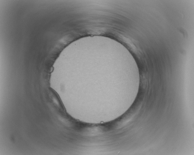 X0000115060307200911231220