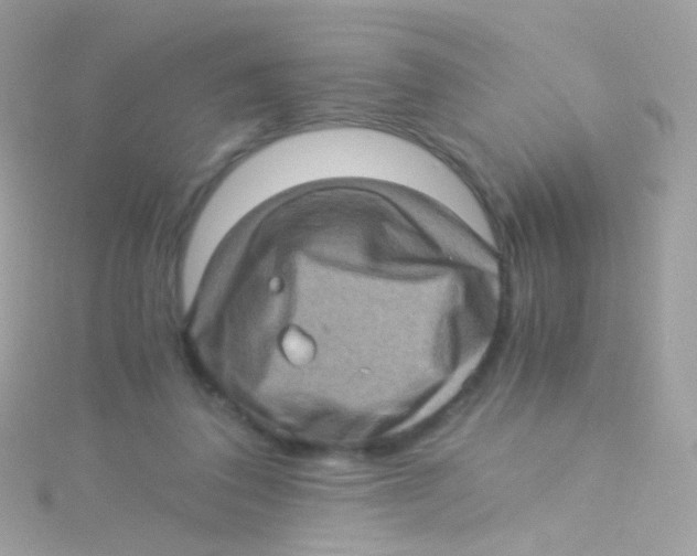 X0000115060308200911231220