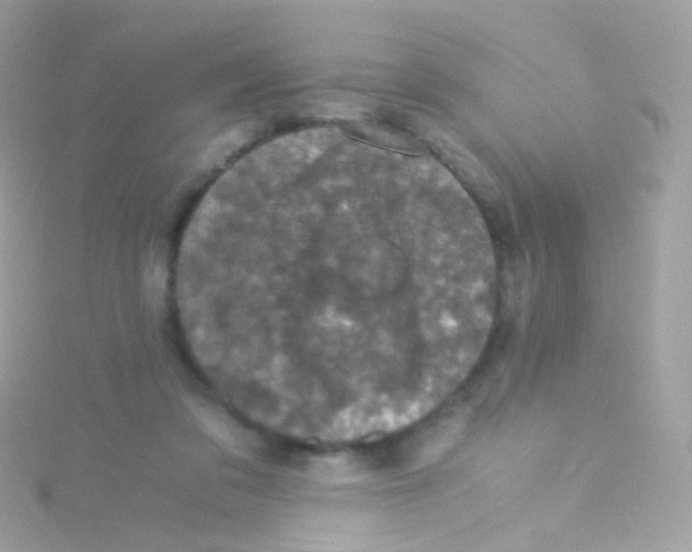 X0000115060309200911231220