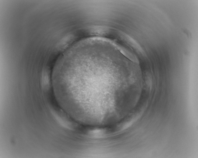 X0000115060312200911231220