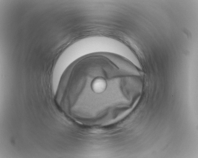 X0000115060313200911231220