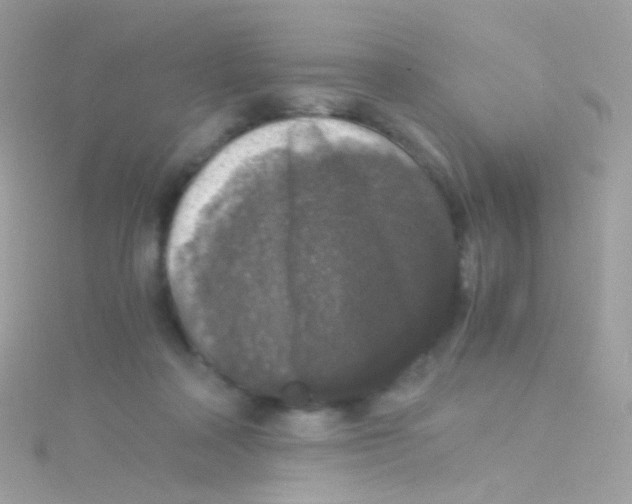 X0000115060314200911231220