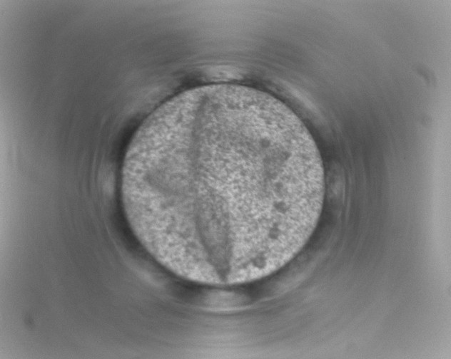 X0000115060315200911231220