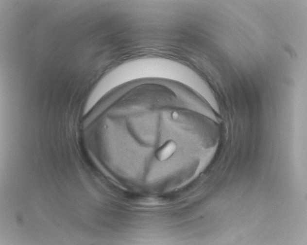 X0000115060316200911231220