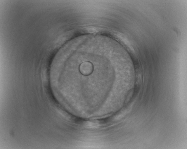 X0000115060317200911231220