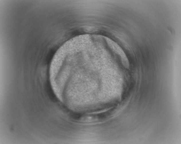 X0000115060319200911231220