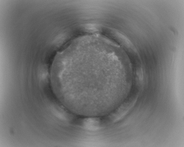 X0000115060320200911231220