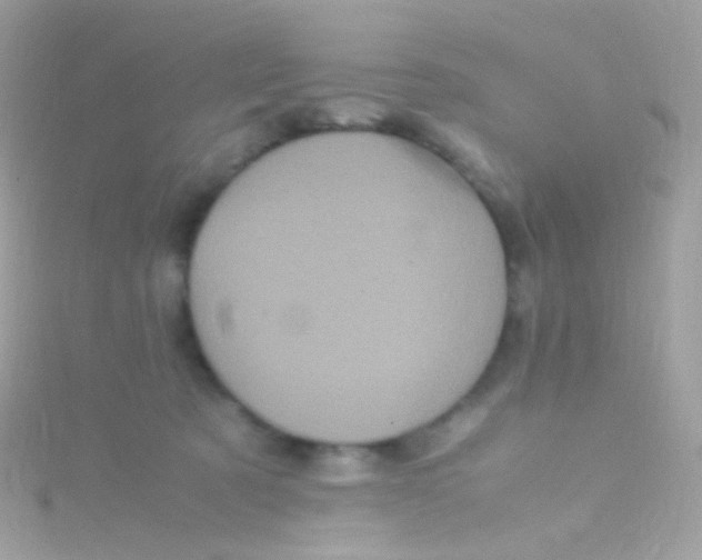 X0000115060321200911231220