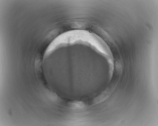 X0000115060322200911231220