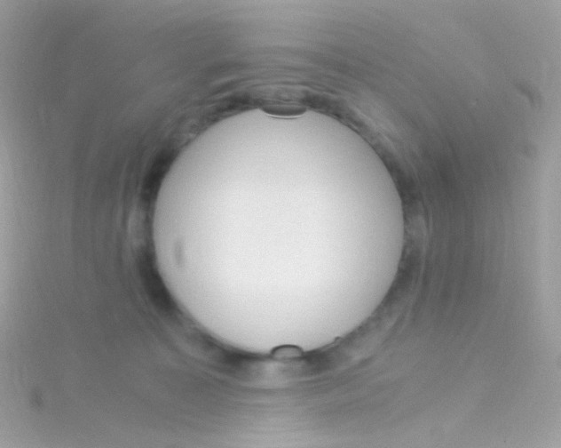 X0000115060323200911231220