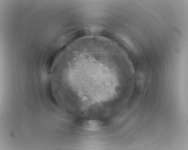 X0000115060324200911231220