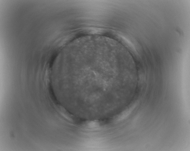 X0000115060325200911231220